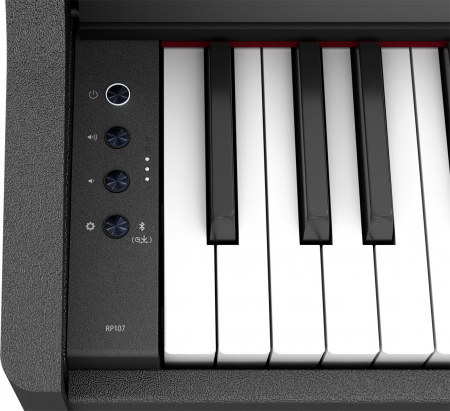 Цифровое пианино Roland RP107 BKX