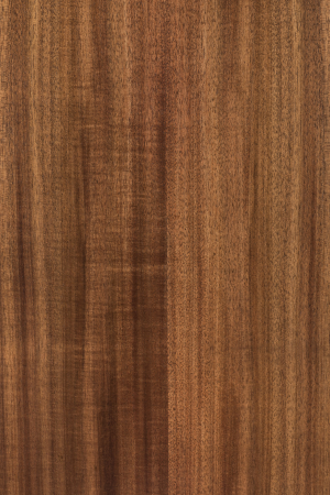 Гитара электроакустическая Maton EBW70C