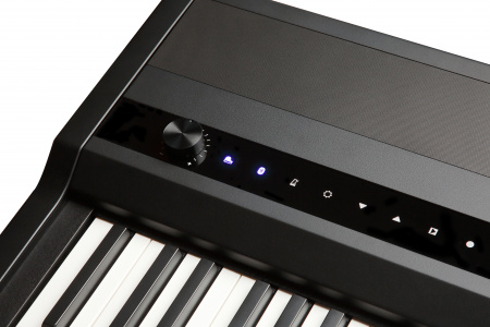 Цифровое пианино Kurzweil MPS120