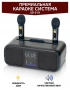 Караоке система с двумя радиомикрофонами SDRD SD 318 Gold