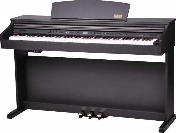 Цифровое пианино Artesia DP-10E Rosewood