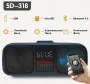 Караоке система с двумя радиомикрофонами SDRD SD 318 Gold